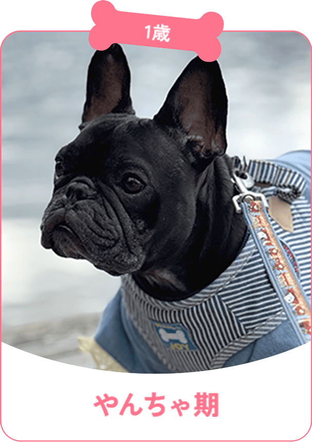 1歳 やんちゃ期